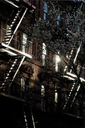 Νέα Υόρκη, Μανχάταν. Πυροσβεστικές σκάλες στο Βίλατζ.