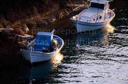 Ψαρόβαρκα
