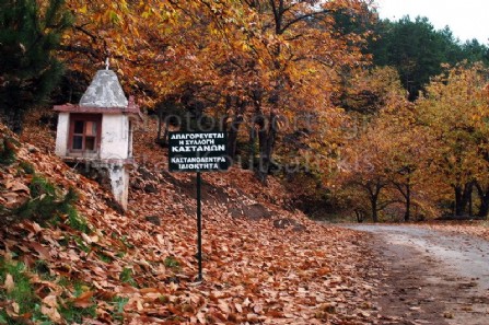 Καστάνιτσα Αρκαδίας. 