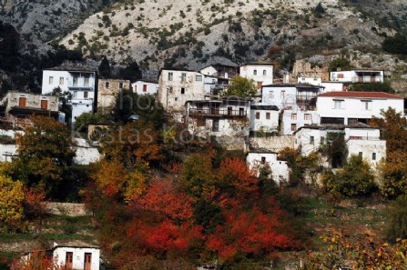 Καστάνιτσα Αρκαδία καστανιώνας 