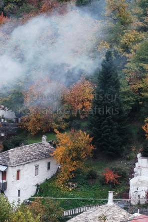 Καστάνιτσα Αρκαδία καστανιώνας