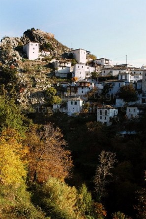 Καστάνιτσα Αρκαδία καστανιώνας